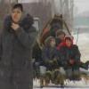 Татарстан авылларының берсендә көпә-көндез бер хатынга төлке ташланган