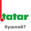 «.tatar» доменын бушка өләшәләр?